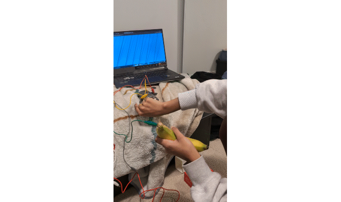 Here's my activity 2 formstorming that I worked on with Mikaela and Tanzeel. We experimented with fruits, jewelry, random objects that were conductive and made some non conductive objects conductive using copper tape or water.