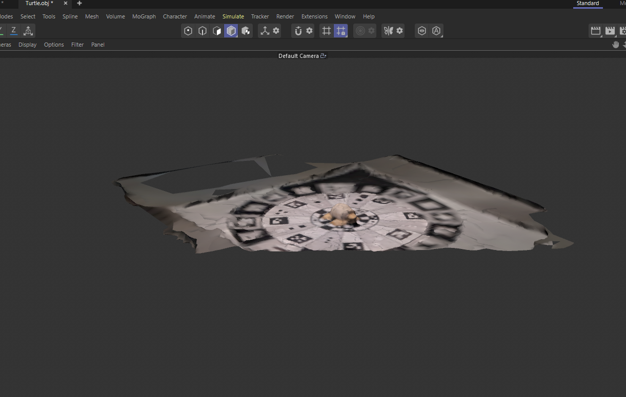 My turtle object was one of my best scanned objects. It was well rendered in scaniverse but it looks a bit blurry in C4D even with the render viewport. Also had to be cropped.